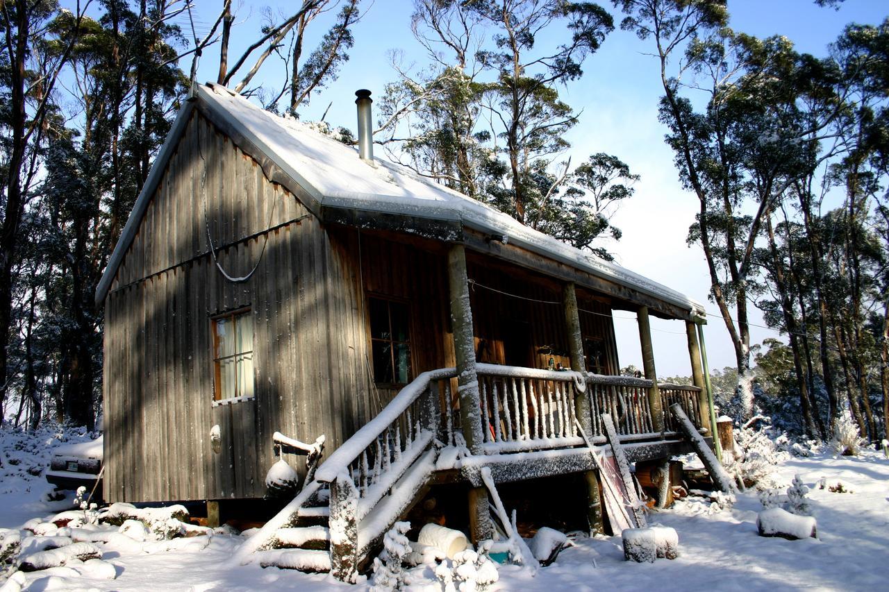 Wombat Cabin Villa Moina ภายนอก รูปภาพ