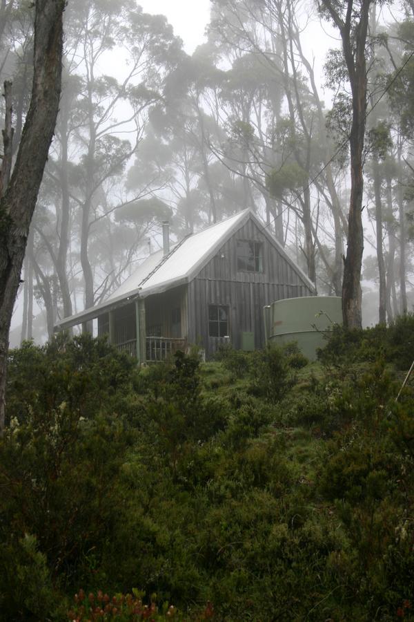 Wombat Cabin Villa Moina ภายนอก รูปภาพ